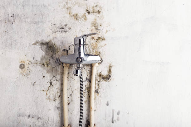 Water Damage Restoration in Cortland West, NY