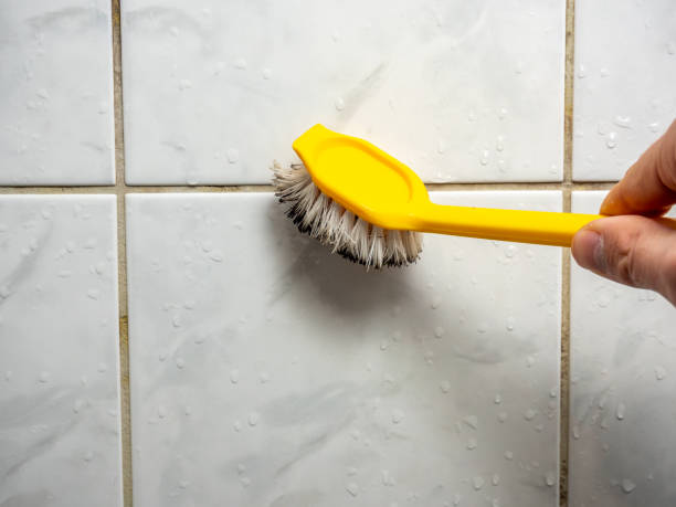 Best Emergency Mold Removal  in Cortland West, NY