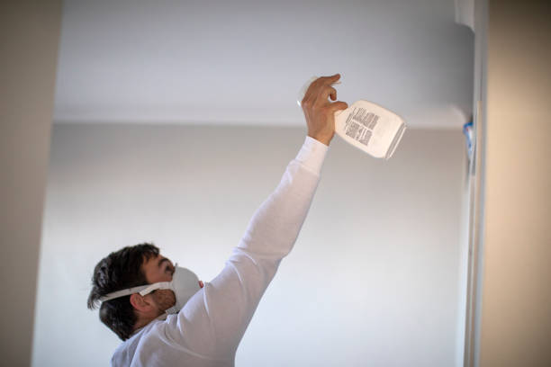 Trusted Cortland West, NY Mold Removal Experts